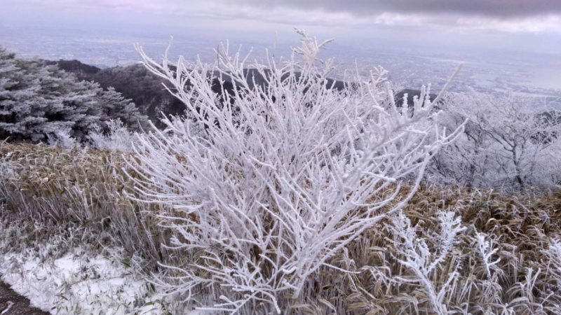 冬の六甲山