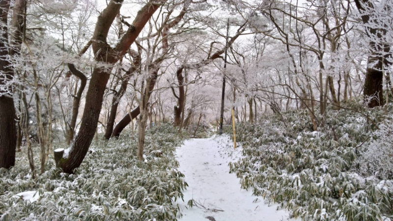 冬の六甲山